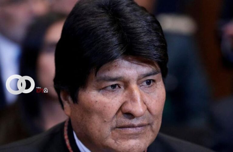 elterritorio.com