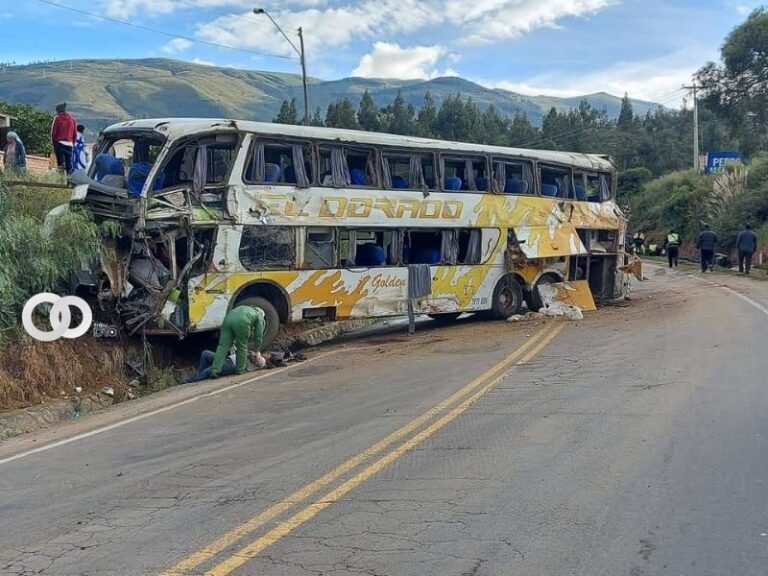 Bus el Dorado de Transporte Pesado