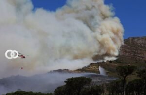 (PH: AP / Nardus Engelbrecht) (Nardus Engelbrecht/)