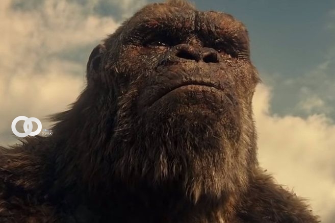 La secuela de "Godzilla vs Kong" estaría centrada en el hijo de Kong. / Agencia Europa Press