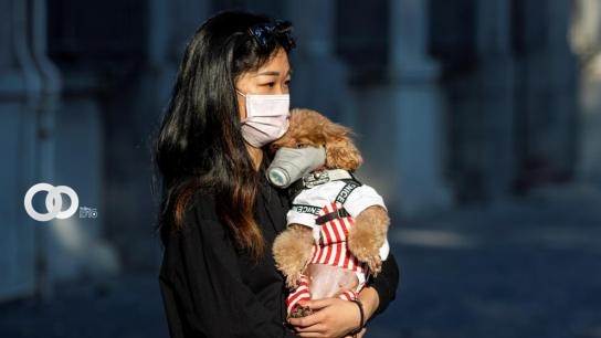 Una mujer y su perro pasean por la ciudad china de Cantón protegidos con una mascarilla  EFE/Alex Plavevski