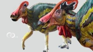 Recreación del vistoso Tlatolophus galorum - Luis V. Rey