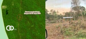 Avasallamiento en el área protegida de Bajo Paraguá