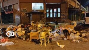 El mercado Bolívar es un foco de infección debido a la basura