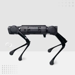Empresa China lanza perros robots económicos