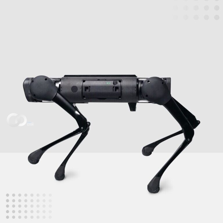 Empresa China lanza perros robots económicos