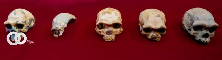 Descubren en China el cráneo de un hombre de 140.000 años de antigüedad