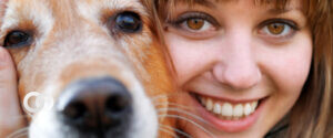 imagen: clínica veterinaria del bosque