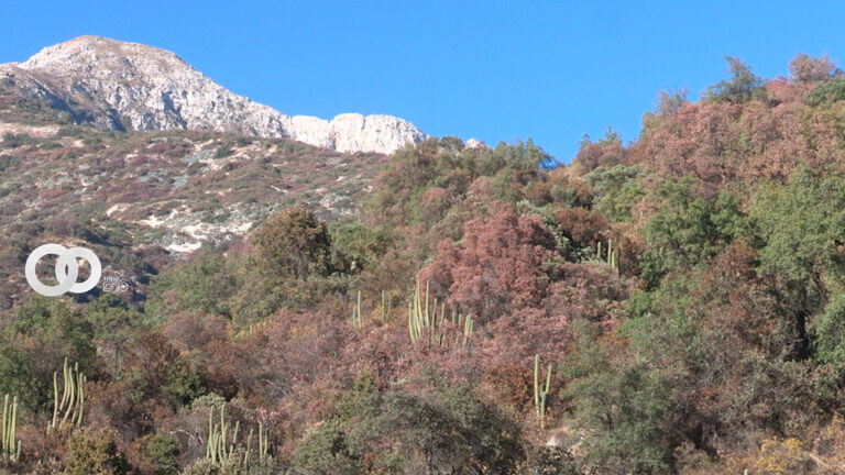 imagen: Ladera Sur
