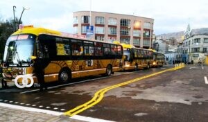 Buses