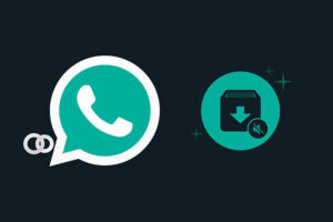 Whatsapp y su nueva función de mensajería