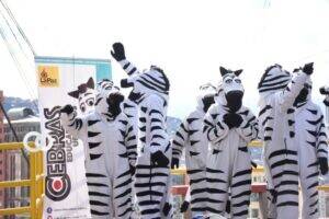 Cebras vuelven a las calles para promover la vacunación masiva