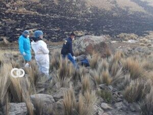Hallan en Oruro los cuerpos de dos hombres ejecutados