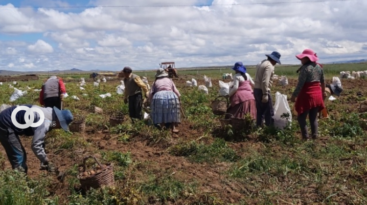Agricultores Bolivianos preocupados por el contrabando e importaciones