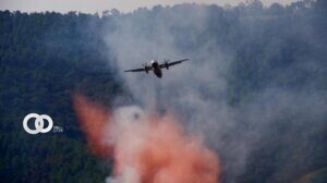 Incendio forestal en Francia
