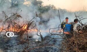 Reportan el primer fallecido por los incendios forestales en Santa Cruz