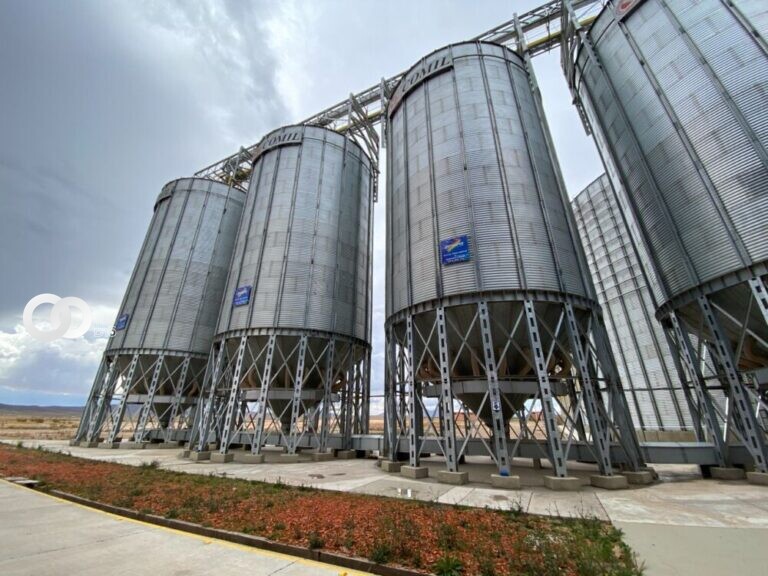 Gobierno Nacional garantiza el suministro de maíz al sector productivo avícola y porcinocultor