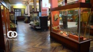 Instituto de Investigaciones Antropológicas y Museo Arqueológico