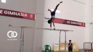 gimnasta