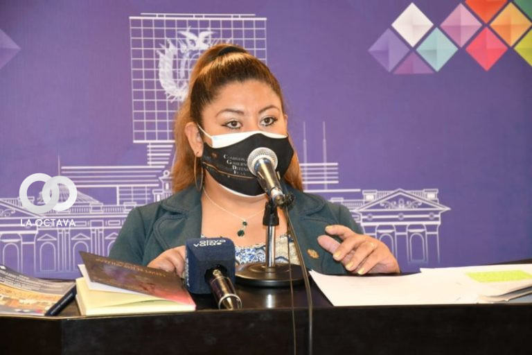 Magaly Gómez, Diputada por  el Movimiento Al Socialismo