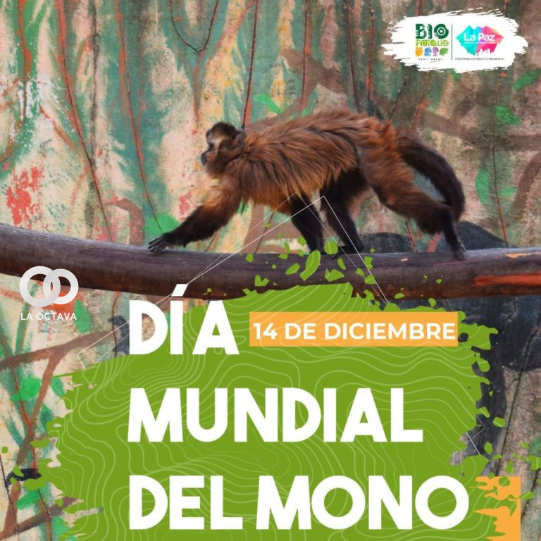 En el Día Internacional del Mono personal del Bioparque Municipal Vesty Pakos instaló carteles educativos