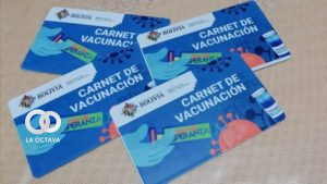 Carnet de vacunación que emite el Ministerio de Salud