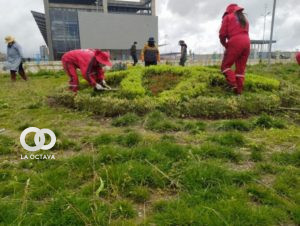 A días de su inauguración adornan jardines de la Terminal Metropolitana