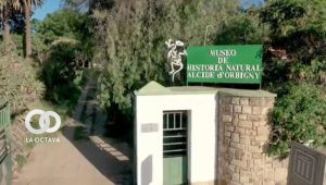 Museo de Historia Natural