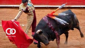 Corridas de toros en México