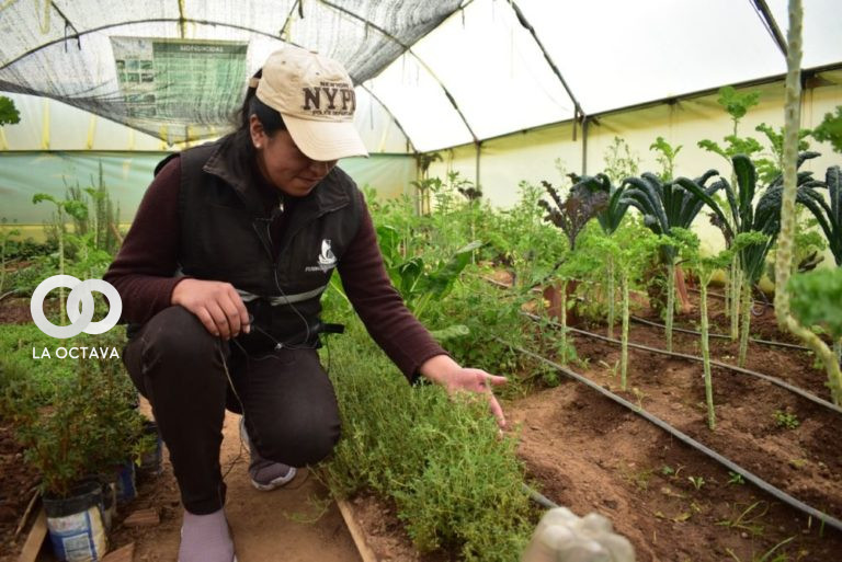 Programa Nacional de Fomento a la Agricultura Urbana y Periurbana