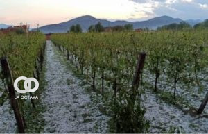 Granizadas en Potosí