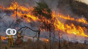 Incendio forestal en Argentina