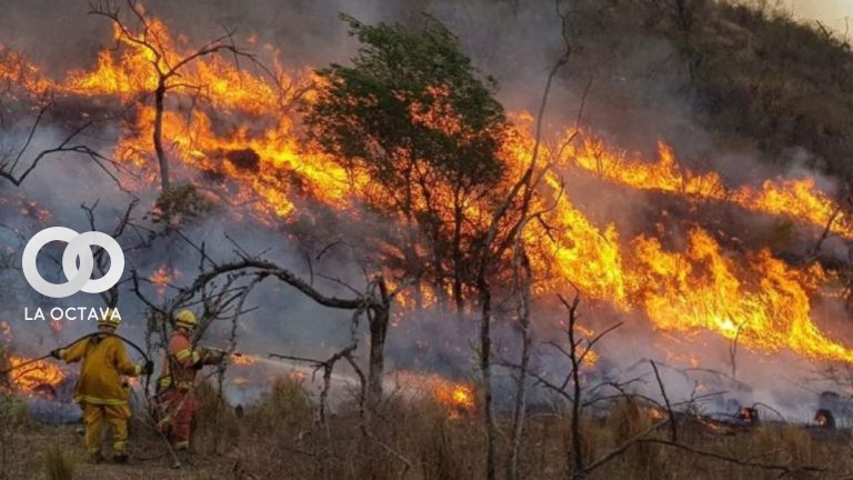 Incendio forestal en Argentina