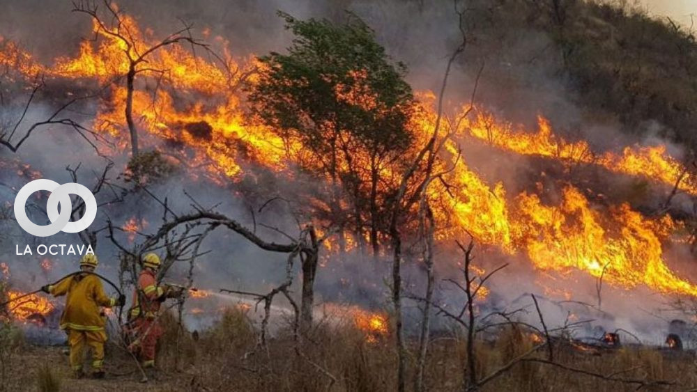 Incendio forestal en Argentina
