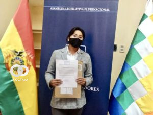 Camila Luna, séptima postulante a Defensor del Pueblo