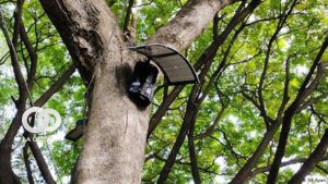 Agricultores prueban tecnología para alejar animales salvajes