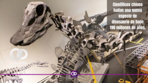 Científicos chinos hallan una nueva especie de dinosaurio de hace 190 millones de años.