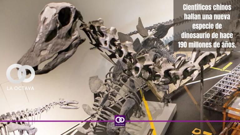 Científicos chinos hallan una nueva especie de dinosaurio de hace 190 millones de años.