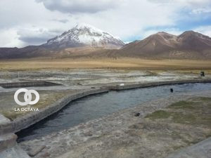 Sajama