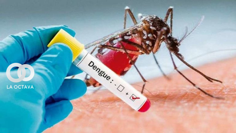 Contagios de dengue