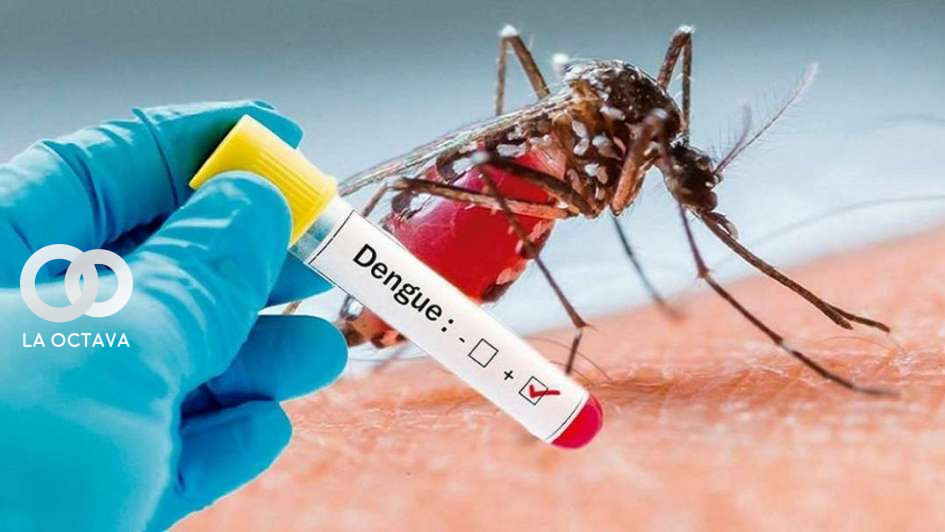 Contagios de dengue