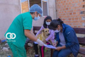Campaña de esterilización