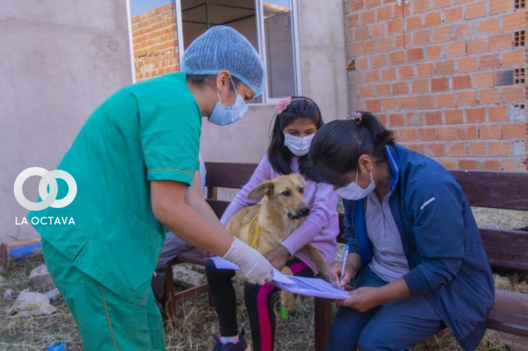 Campaña de esterilización