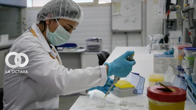 investigacion covid-19