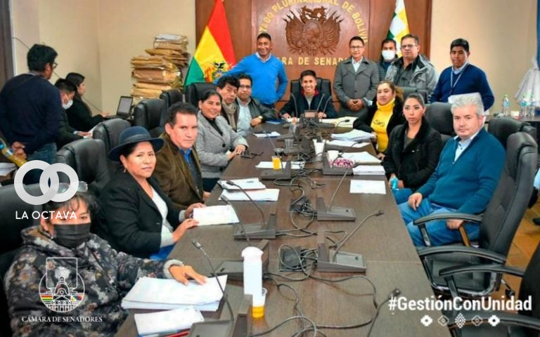 Comisión Mixta de Constitución