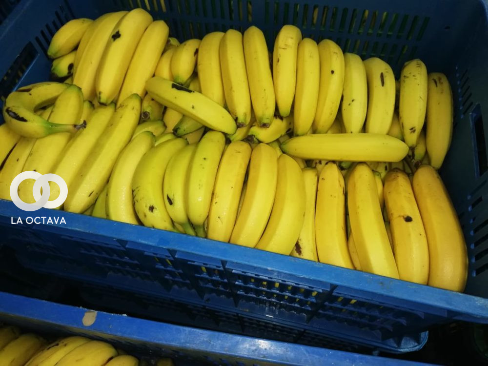 Bananos que serán repartidos en el desayuno escolar de la ciudad de La Paz