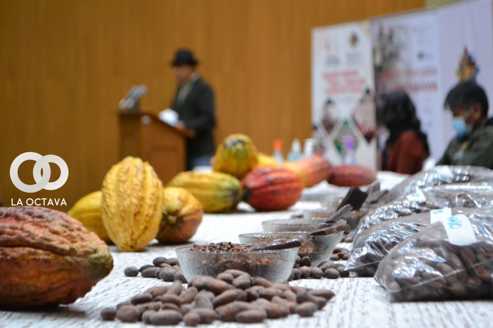 Cacao, producto boliviano