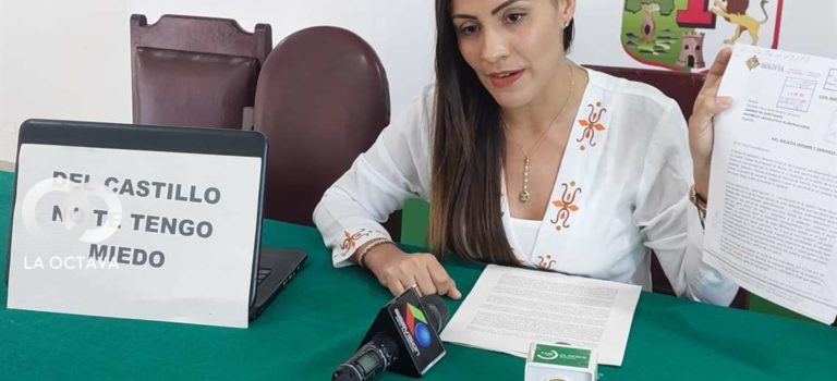 María René Álvarez, Diputada de Creemos