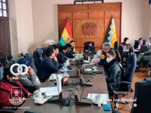 Unanimidad de la Comisión Mixta de Constitución.