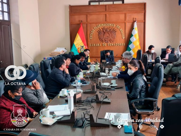 Unanimidad de la Comisión Mixta de Constitución.